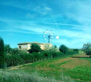 Windmühlen Felanitx in Felanitx