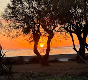 Strand Playa/Platja de Palma