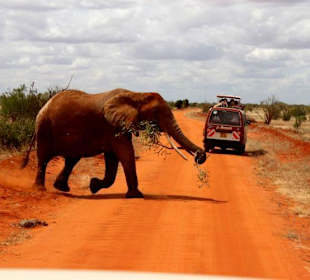 Achtung: Linksverkehr!