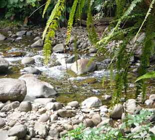 Bei den Wasserfällen