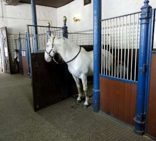 Nicht nur Museum, sondern auch "mittendrin"...