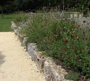 Blühendes Neresheim 2021