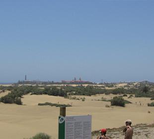 Dünen von Playa del Ingles