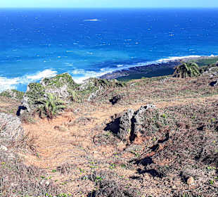 Longpan Park Kenting NP