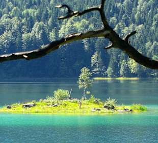 Insel im Eibsee