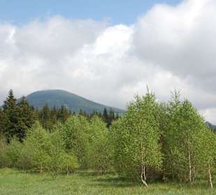Berg im Hintergrund ist der Osser
