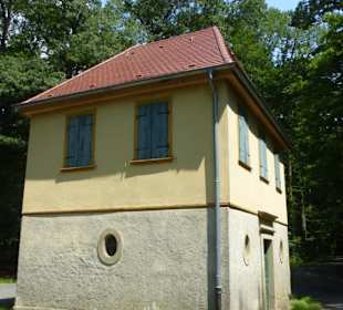 Dianenslust im Hainbuchenwald