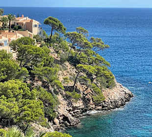 Wanderung Puig de Son Jordi