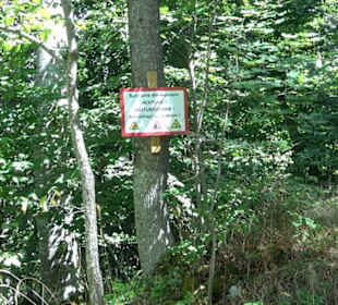 Burgruine Blankenstein