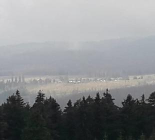 Oben auf dem Wurmberg