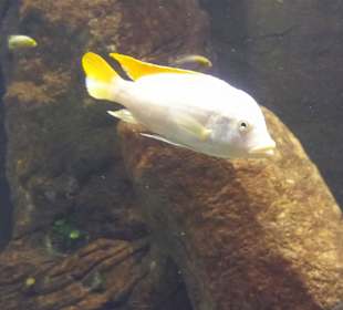 Zoo Wrocław