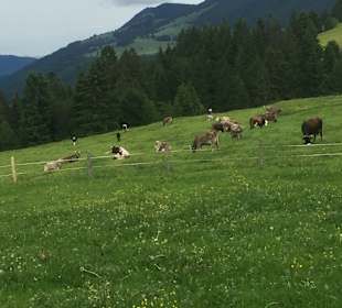 Wandern Oberstaufen