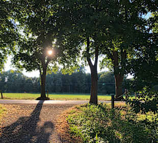 Wandern