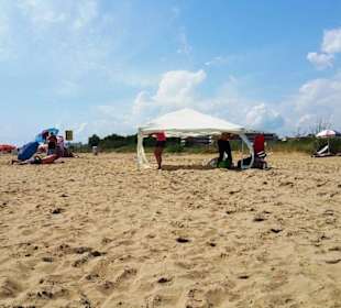 Am Hundestrand freier Bereich