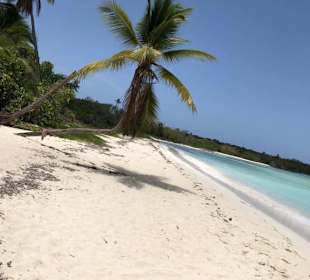 Saona