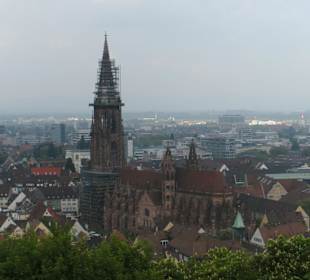 Blick vom Schlossberg auf Freiburg