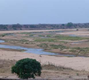 Fluss im Krüger Nationalpark