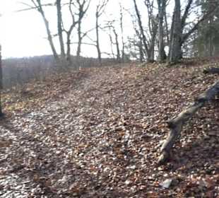 Burg Hofen Grabenstetten