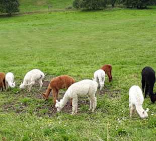 Wandern Oberwiesenthal