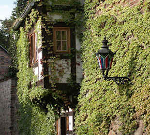 Neubrandenburg Wiekhäuser