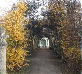 Im Hofgarten / Schlossgarten Veitshöchheim