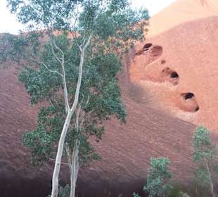 Uluru