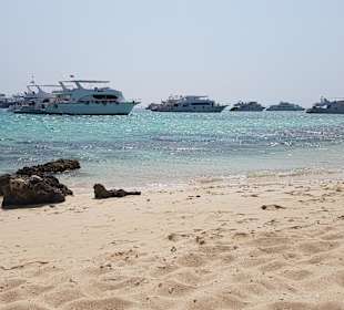 Ausflug Giftun Island