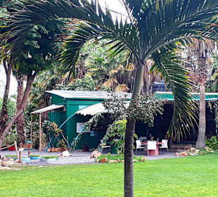 Botanischer Garten Viveiro