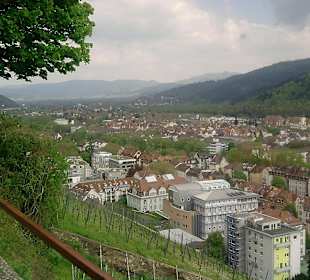 Freiburg Schlossberg 8