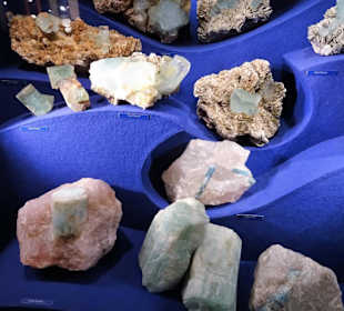 In der geologischen Abteilung