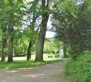 Spaziergang im Palaisgarten