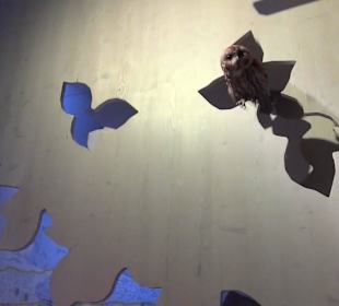 Nationalparkzentrum Haus der Berge