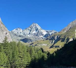 Ausblick