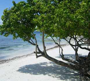 Cayo Levantado - Anlegestelle