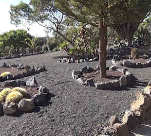 Guinitate Tropical Park