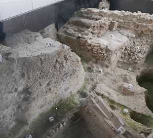 Archäologische Vitrine