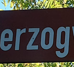 Wandern Bad Dürkheim