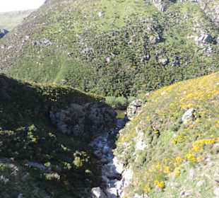 Mitder Taileri Railway durch die Natur Neuseelands