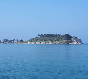 Möweninsel 