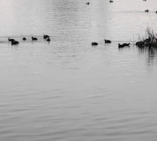 Seeimpressionen