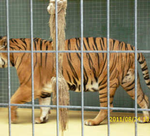 Besuch im Berliner Zoo