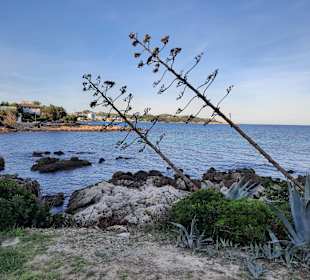 Wandern Cala Ratjada