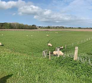Wandern Dagebüll
