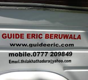 Eric's Logo