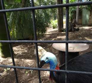 Stadtrundgang Sydney