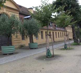 Kleine Orangerie