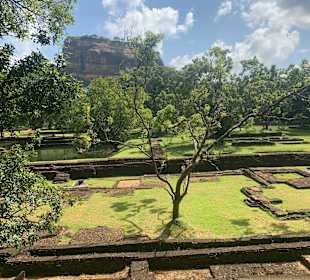 Sigiriya Felsen