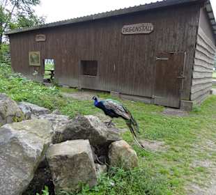 Grillhütte