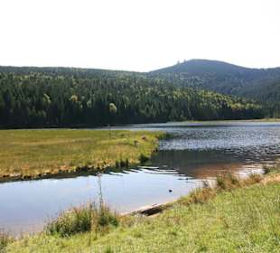 Kleiner Abersee in Lohberg