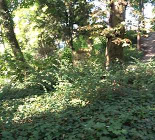 Leibfriedscher Garten